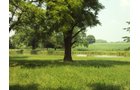 Property photo 4 - 160 Acres Offered in 6 Tracts